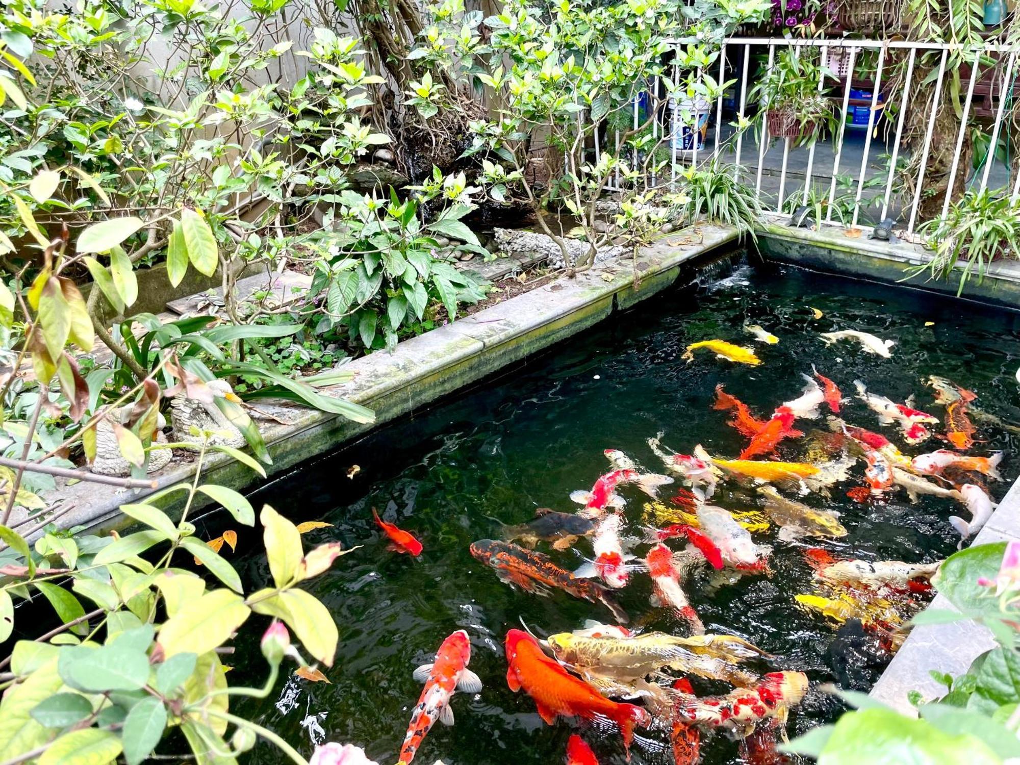 Lee Homestay ฮานอย ภายนอก รูปภาพ