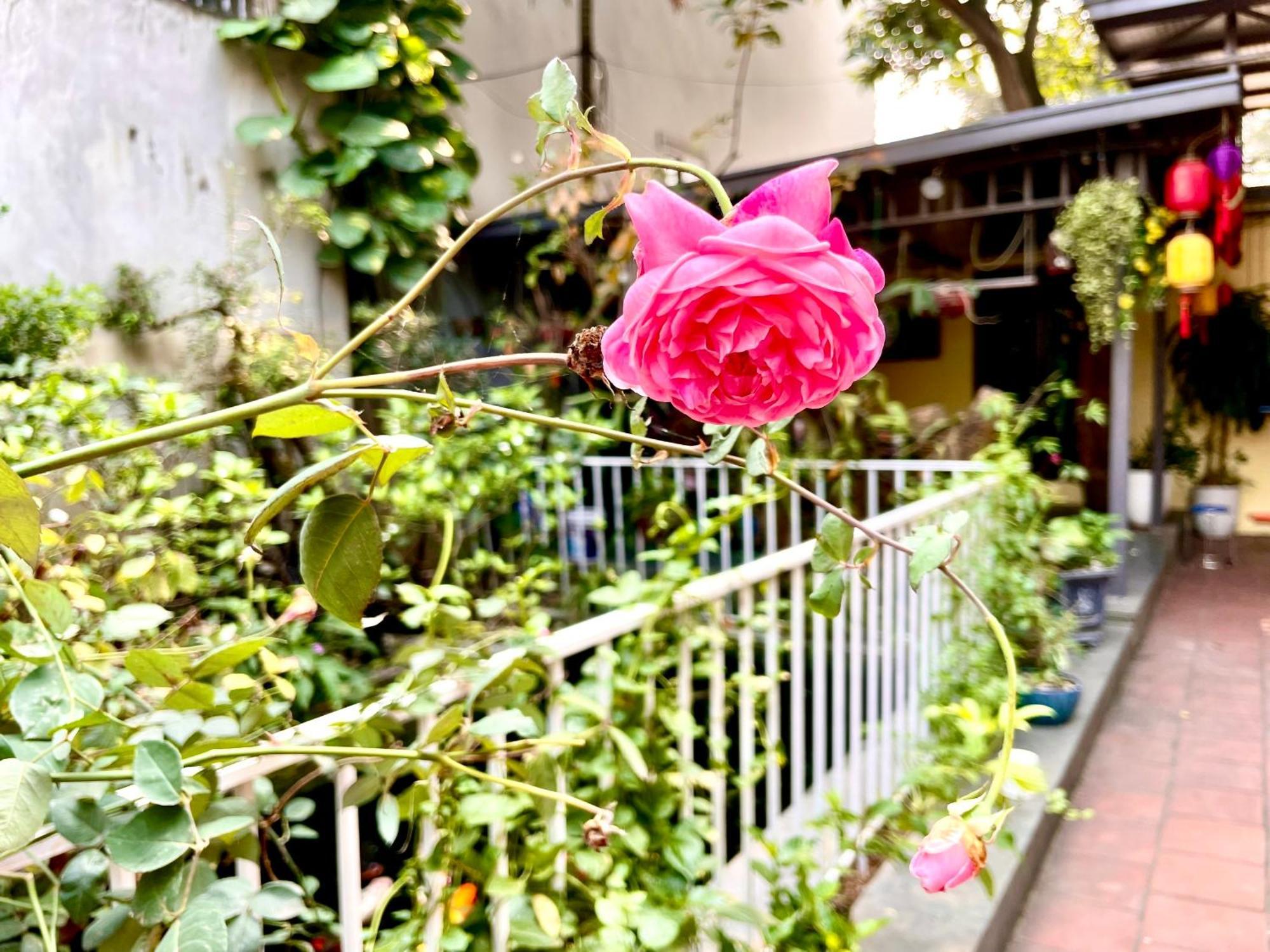 Lee Homestay ฮานอย ภายนอก รูปภาพ