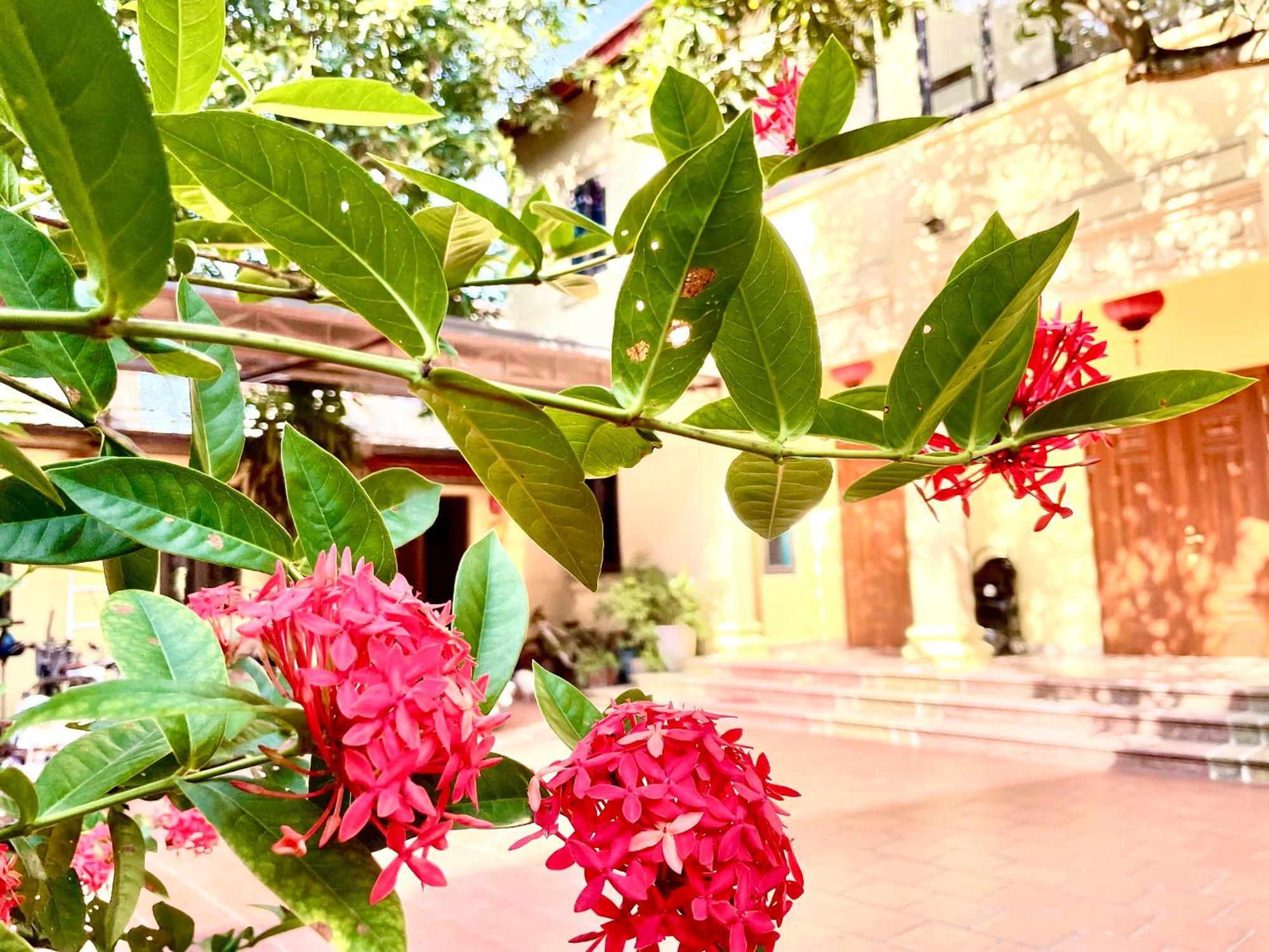 Lee Homestay ฮานอย ภายนอก รูปภาพ